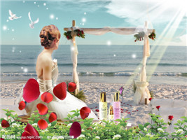 有机硅弹性体凝胶FR304